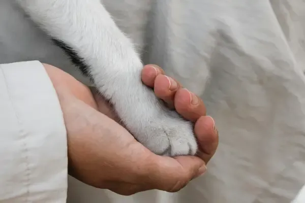 Pootje in hand, afscheid nemen