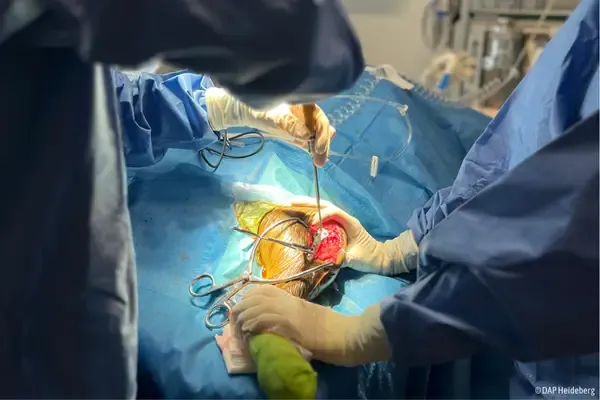 Orthopedische chirurgie