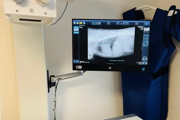 RX foto's, RX toestel